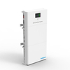  Shinegiant BAT-S48100&SSA-5K |5KW Wechselrichter |5 kW LEP-Energiespeicherbatterie